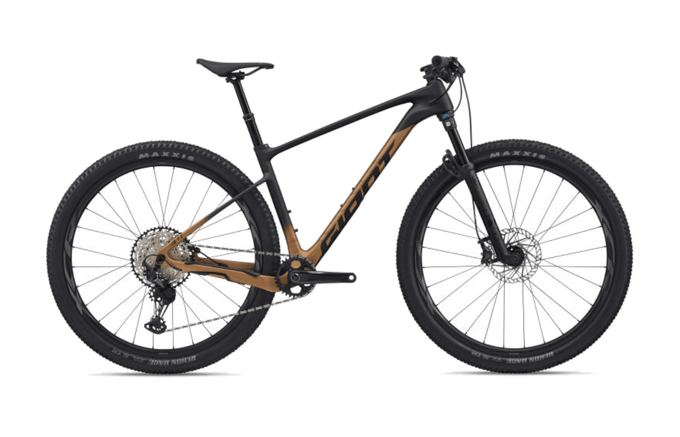 29 1 (2026) build